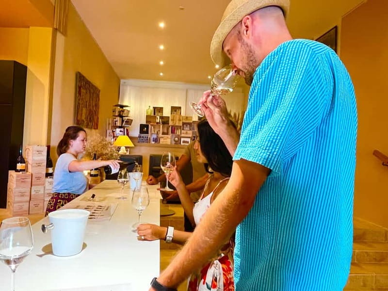 From Avignon: Wine Tour with Visit to Châteauneuf du Pape - Who should book this wine outing