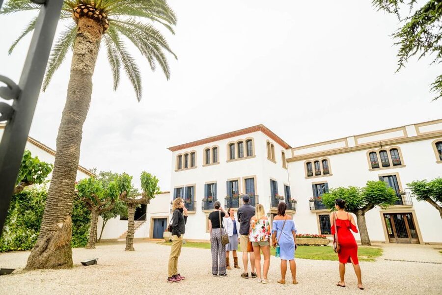 From Barcelona: Penedés Vineyards Tour by 4WD w/Wine & Cava - What the seven tastings are really like