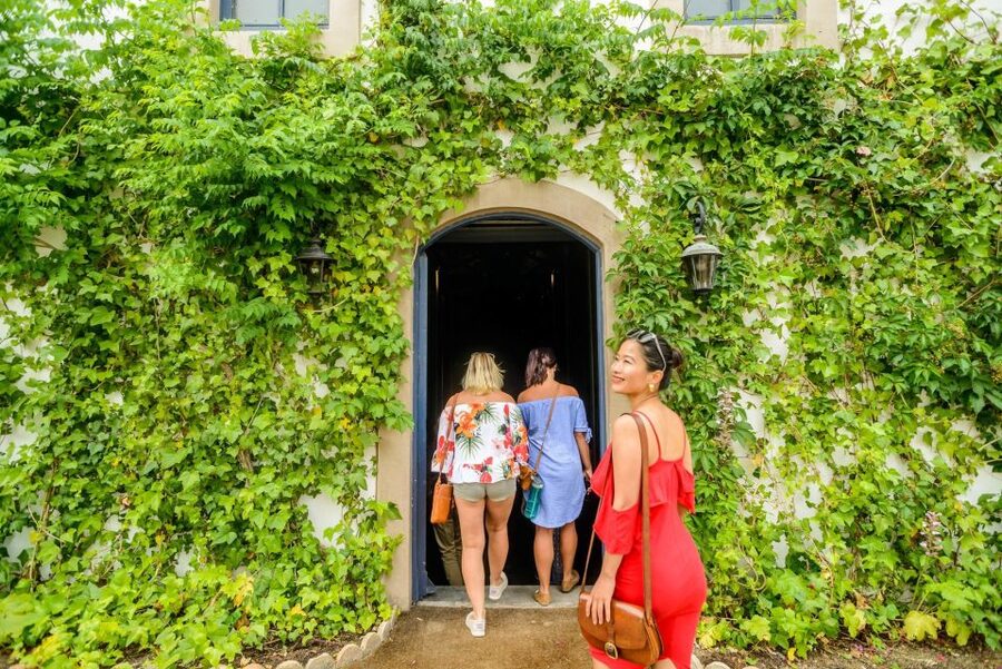From Barcelona: Penedés Vineyards Tour by 4WD w/Wine & Cava - The six-hour schedule and what it means for you