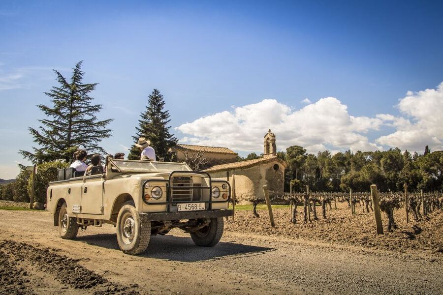 From Barcelona: Penedés Vineyards Tour by 4WD w/Wine & Cava - Is $85 a fair price?