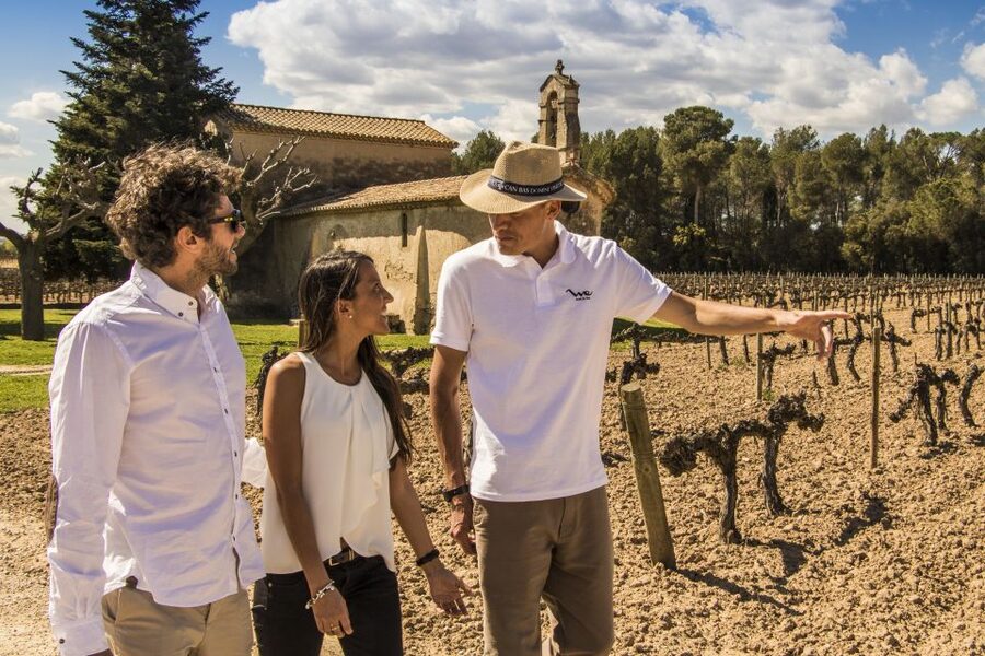 From Barcelona: Penedés Vineyards Tour by 4WD w/Wine & Cava - Who will enjoy this most?