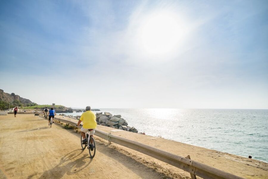 From Barcelona: Private Alella Wine Tour by Electric Bike - From Barcelona streets to Alella vineyards