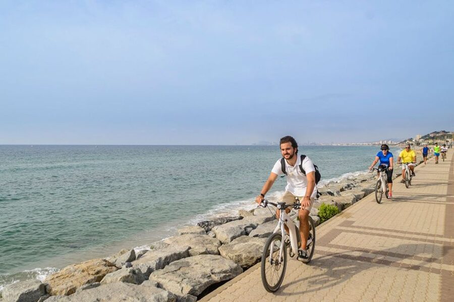 From Barcelona: Private Alella Wine Tour by Electric Bike - Returning by bike, train, and bike again