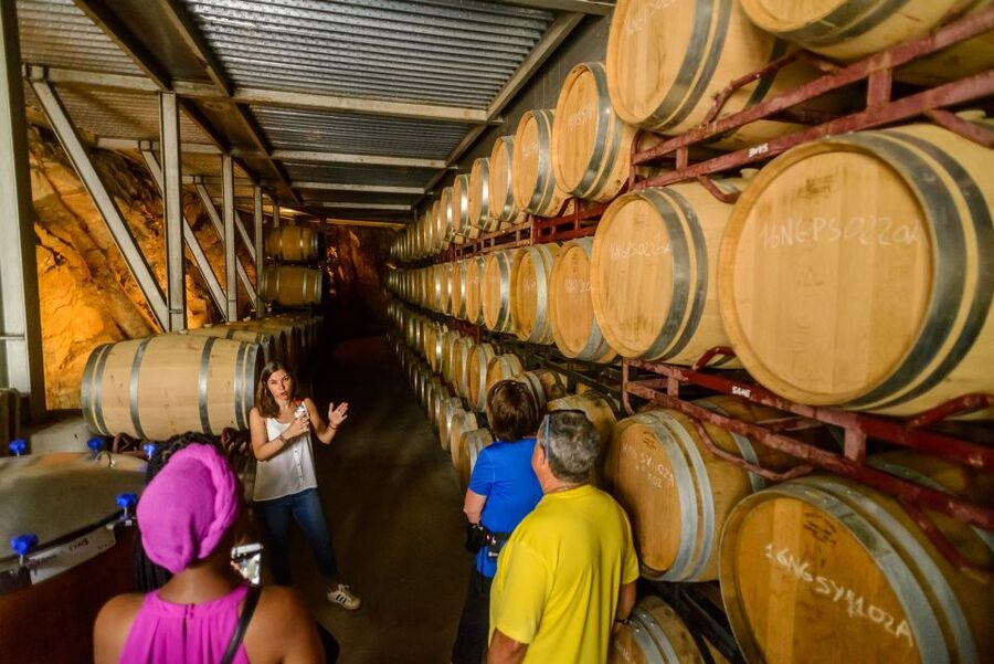 From Barcelona: Private Alella Wine Tour by Electric Bike - How hard is the cycling?