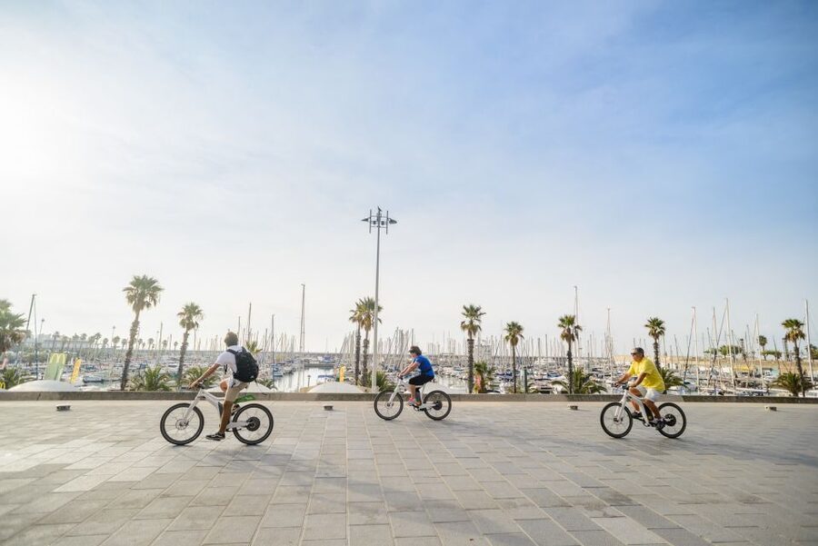 From Barcelona: Private Alella Wine Tour by Electric Bike - What the $294 price really covers