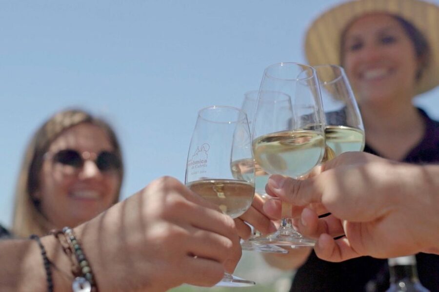 From Barcelona: Private Alella Wine Tour by Electric Bike - Weather, language, and other practical points