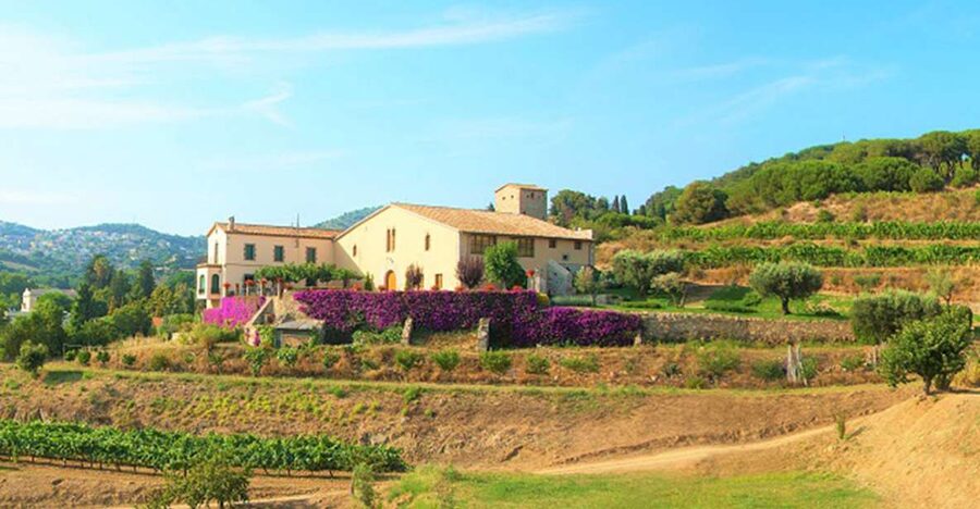 From Barcelona: Private Alella Wine Tour by Electric Bike - The Mediterranean ride and the beach pause