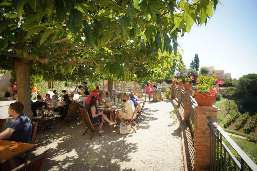 From Barcelona: Sailing and Wine Tasting Experience - What the $131 Price Includes