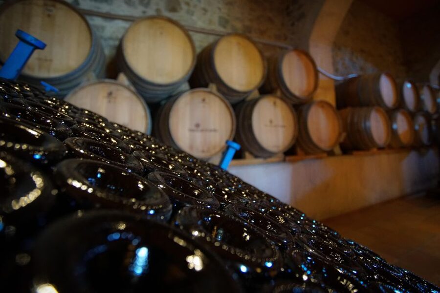 From Barcelona: Sailing and Wine Tasting Experience - Arriving at Alella’s Family Winery