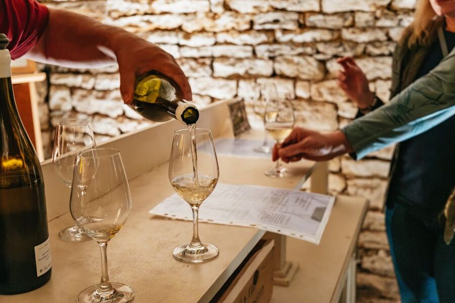 From Beaune: Burgundy Day Trip with 14 Wine Tastings - Why this Burgundy day trip works