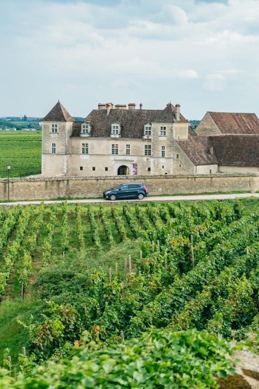 From Beaune: Burgundy Day Trip with 14 Wine Tastings - Lunch in a Burgundy village