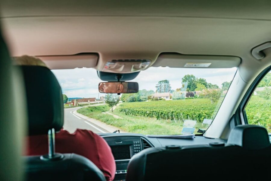 From Beaune: Burgundy Day Trip with 14 Wine Tastings - Romanée-Conti and the Route des Grands Crus