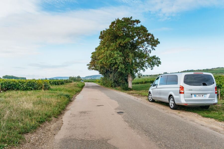 From Beaune: Burgundy Day Trip with 14 Wine Tastings - Clos de Vougeot and the monks’ vineyard