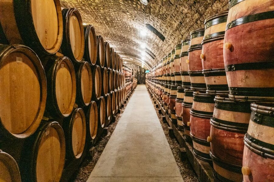From Beaune: Burgundy Day Trip with 14 Wine Tastings - Cellar time in Nuits-Saint-Georges