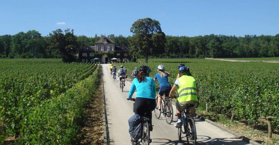 From Beaune: Full-Day Bicycle and Wine Tour in Burgundy - Key points to know before booking