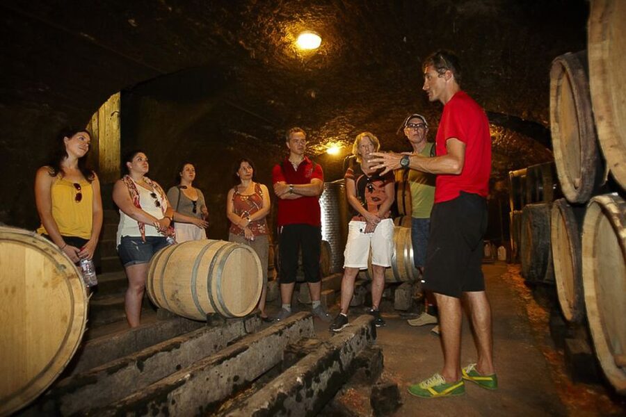 From Beaune: Full-Day Bicycle and Wine Tour in Burgundy - Getting started in Beaune and reaching the vineyards