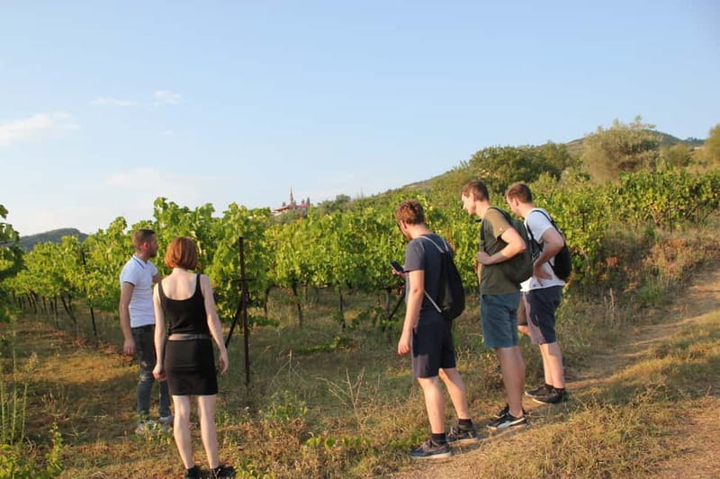 From Berat: Guided Winery Tour with Transfers and Tastings - Why this Berat wine tour works