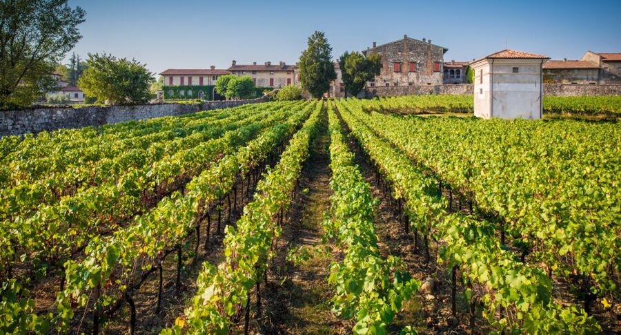 From Bergamo: Winery Tour in Franciacorta with Lunch - Lunch beside Lake Iseo