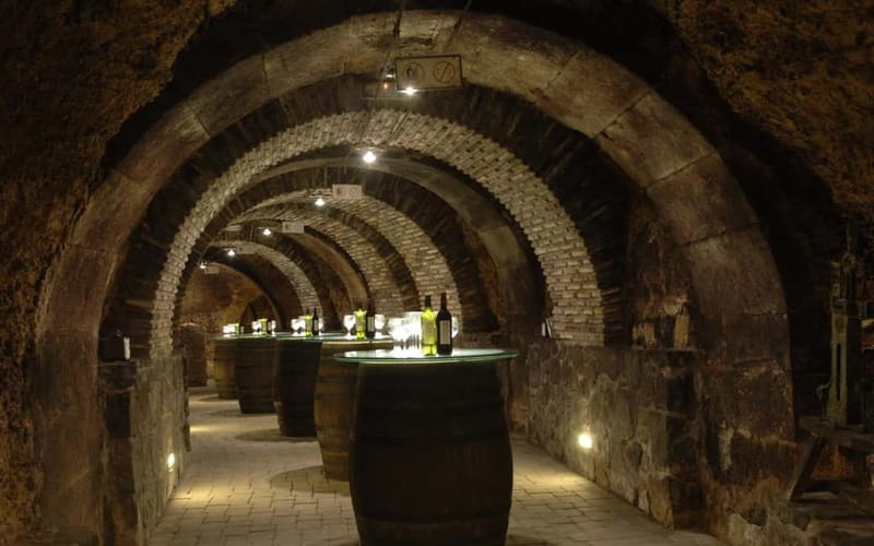 From Bilbao: La Rioja Wineries Day Trip with Wine Tastings - CVNE in Haro, Rioja’s grand opening act