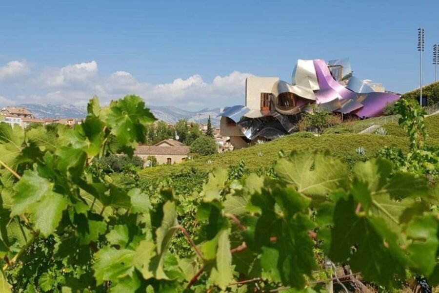From Bilbao: Rioja Architecture and Wine Tour - Key points to know before booking