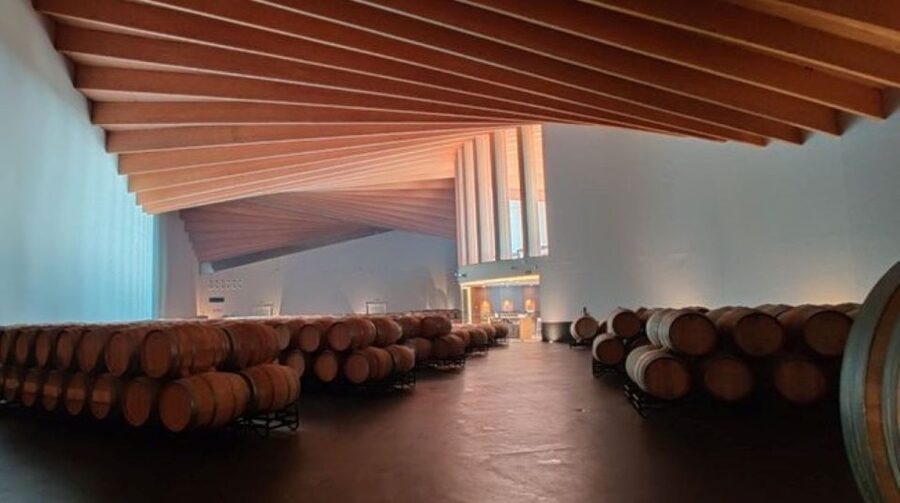 From Bilbao: Rioja Architecture and Wine Tour - Who should book this experience?
