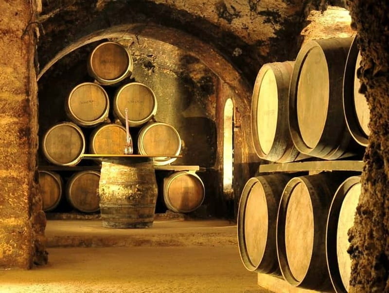 From Bilbao: Rioja Wine Region with Winery & Vitoria-Gasteiz - Why this Rioja day trip works from Bilbao