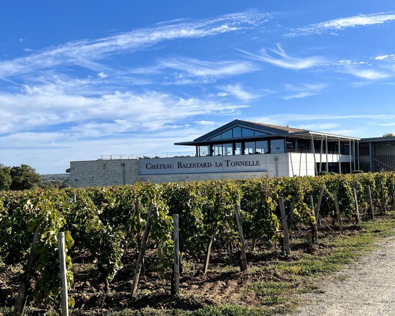 From Bordeaux: Afternoon Saint-Emilion Wine Tasting & snack - Timing, comfort, and practical details