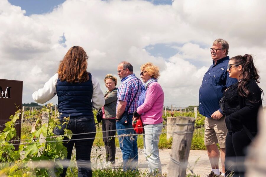 From Bordeaux: Essential Morning Tour with Wine Tasting - Tasting two or three Bordeaux wines