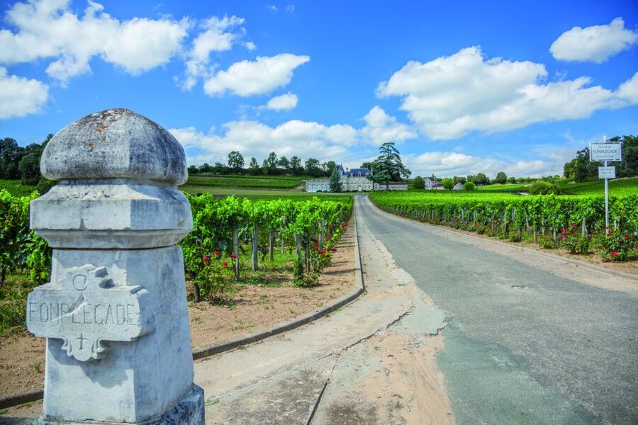 From Bordeaux: Full-Day St Emilion Wine Tasting Tour - First château: begin with the basics