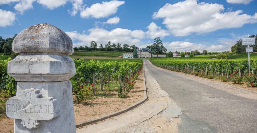 From Bordeaux: Full-Day St Emilion Wine Tasting Tour - The 45-minute ride into Right Bank wine country