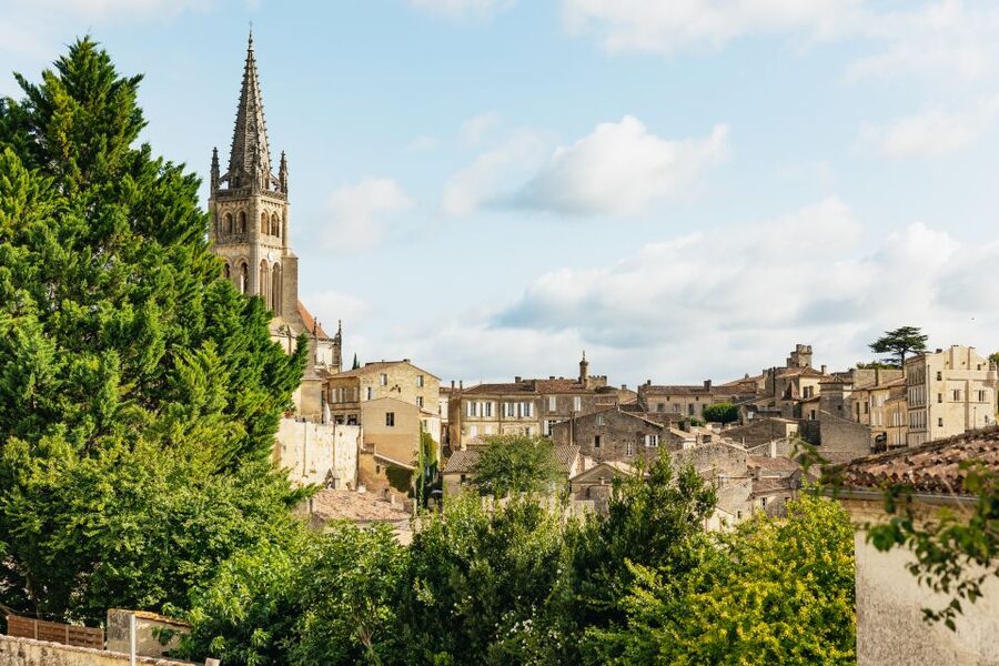 From Bordeaux: Half-Day Saint-Émilion Tour and Wine Tasting - What you learn before the tasting
