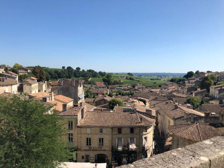 From Bordeaux: Half-Day Saint-Emilion Wine Tour - The 50-minute ride into the vineyards