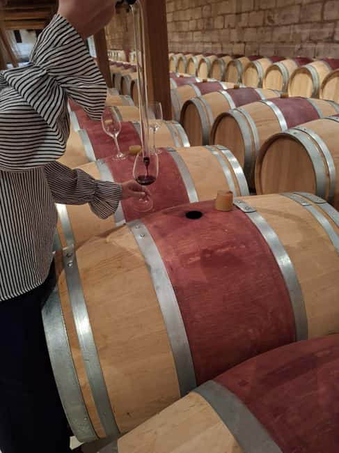 From Bordeaux: Medoc Wineries Tour with Tastings - Quick takeaways from the Médoc afternoon