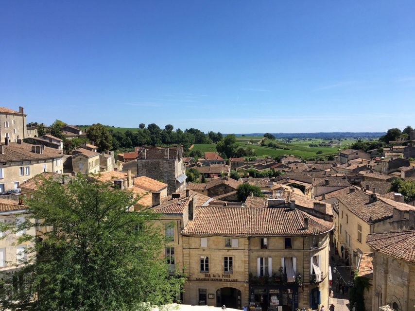 From Bordeaux: Saint-Emilion Guided Wine Tasting Tour - Practical ways to enjoy the afternoon