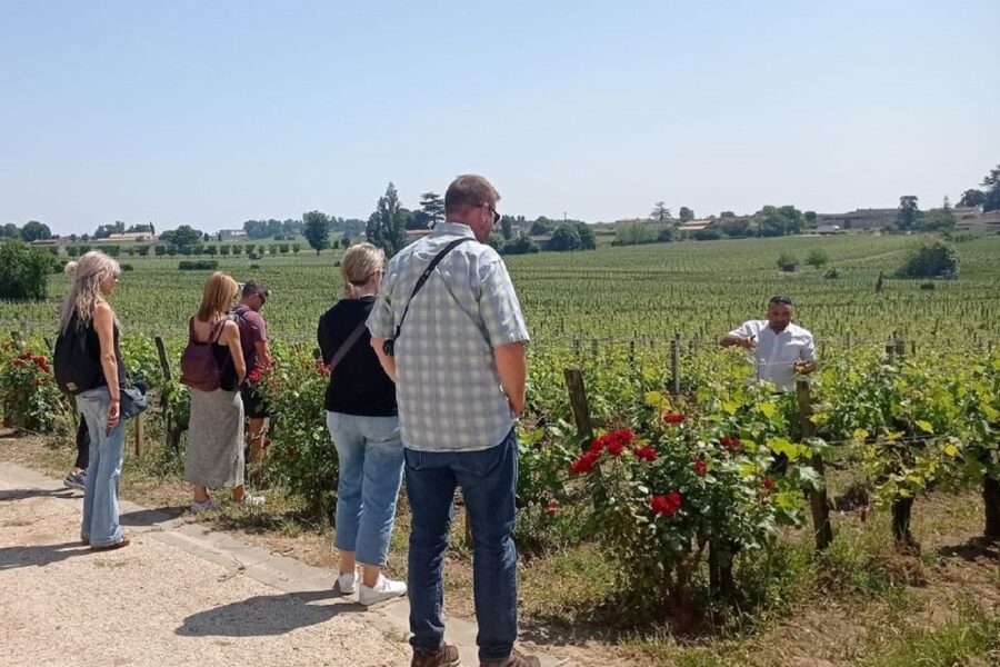 From Bordeaux: Saint-Emilion Guided Wine Tasting Tour - What makes the guides important