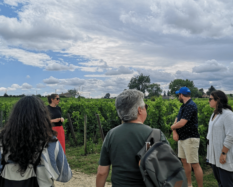From Bordeaux: Saint-Émilion Half-Day Tour with Wine Tasting - Key points to know before booking