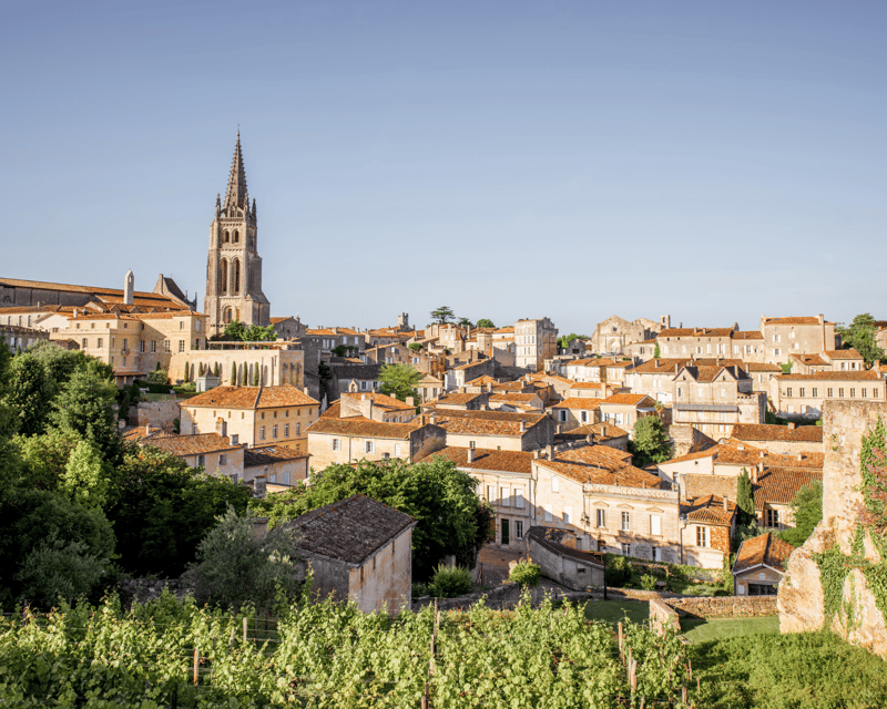 From Bordeaux: Saint-Émilion Half-Day Tour with Wine Tasting - Inside the family-run organic winery