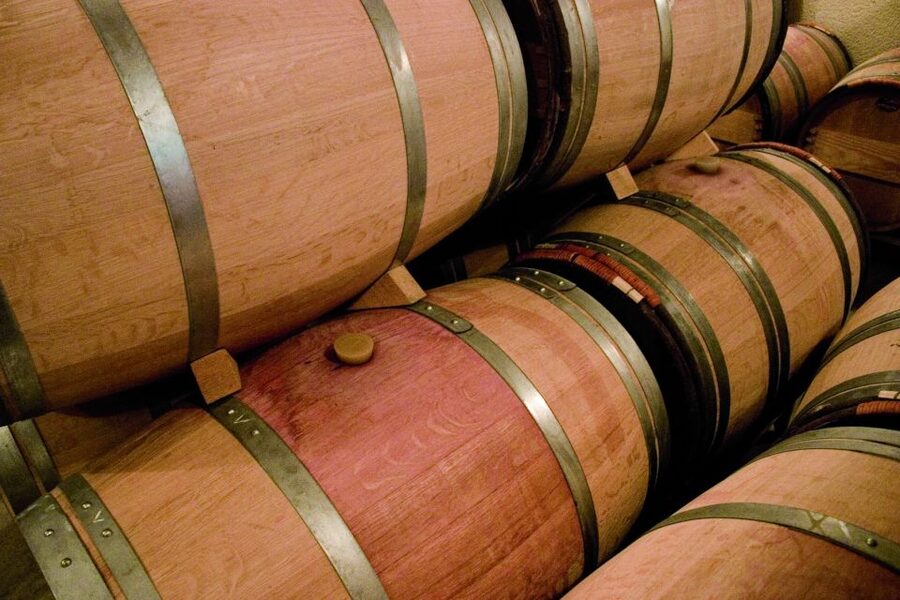 From Bordeaux: St. Emilion Village Half-Day Wine Tour - What the guide adds to the experience