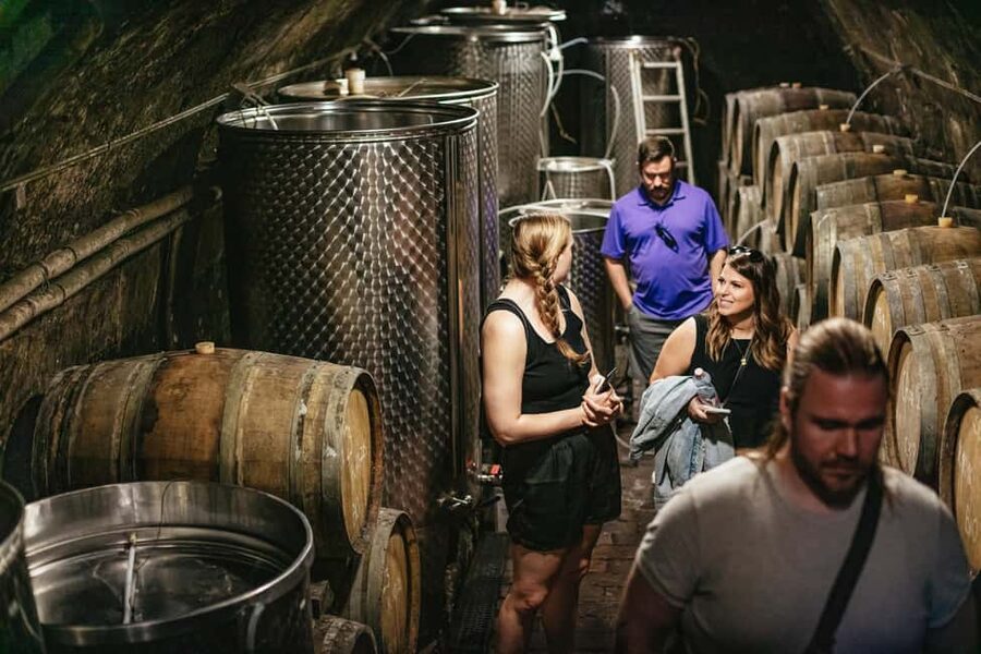 From Budapest: Half-Day Countryside Wine Tour with Meal - Is $96 a fair price?