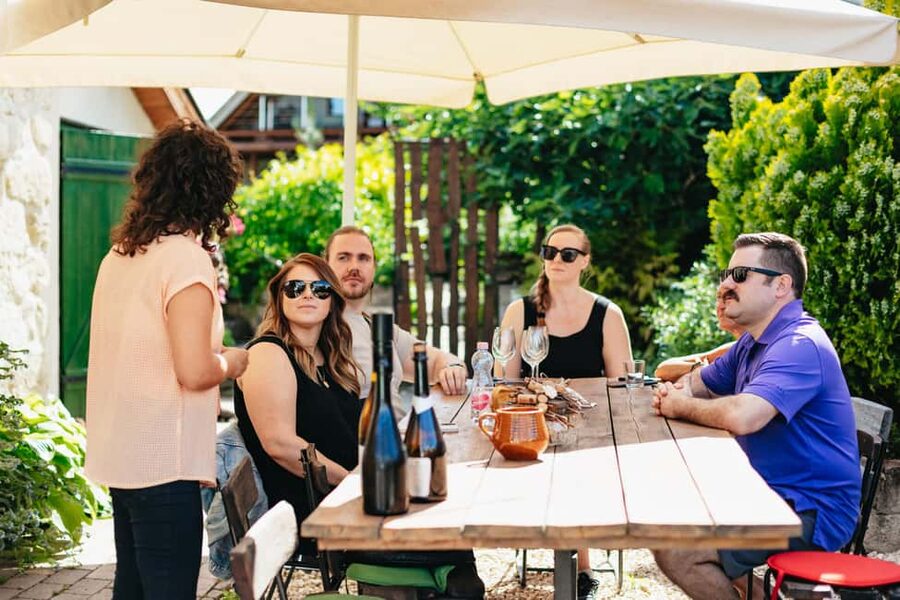 From Budapest: Half-Day Countryside Wine Tour with Meal - Starting from central Budapest