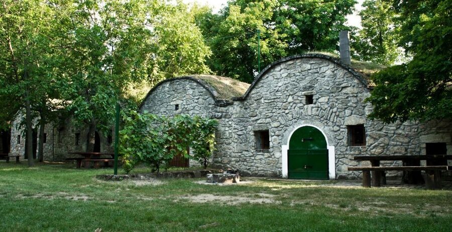 From Budpaest: Páty Wine Village Tour with Tastings - What you actually taste