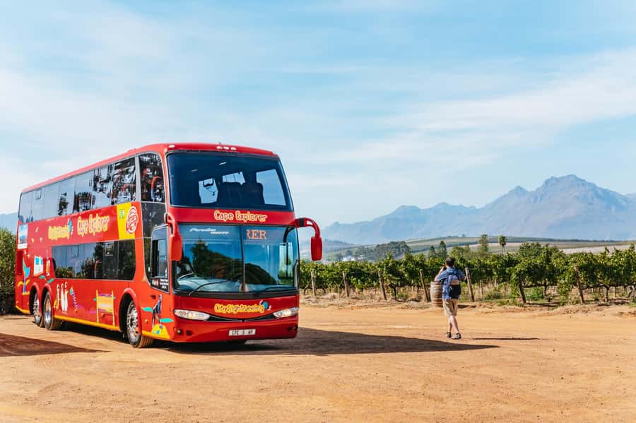 From Cape Town: 3 Regions Wine Tour with 3 Estates, 15 Wines - Three wine valleys without the driving