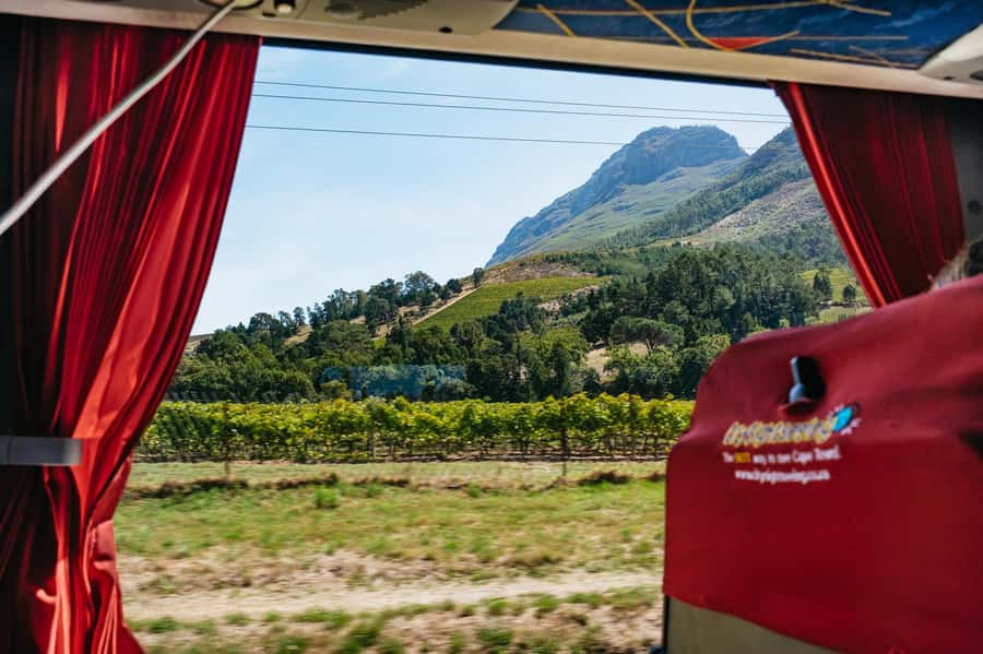 From Cape Town: 3 Regions Wine Tour with 3 Estates, 15 Wines - A short Franschhoek visit before the Mandela stop
