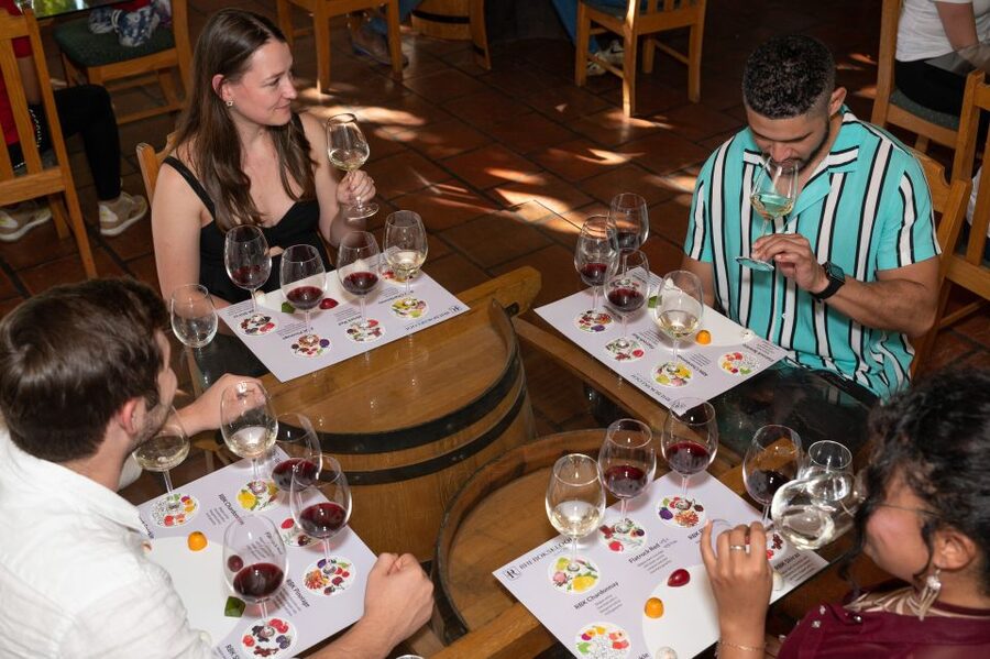 From Cape Town: 3 Regions Wine Tour with 3 Estates, 15 Wines - Timing, pickup, and group size