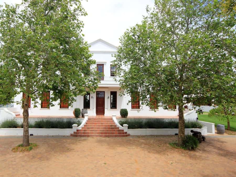 From Cape Town: Stellenbosch Four Estate Full-Day Wine Tour - Cheese, biltong, chocolate, and lunch