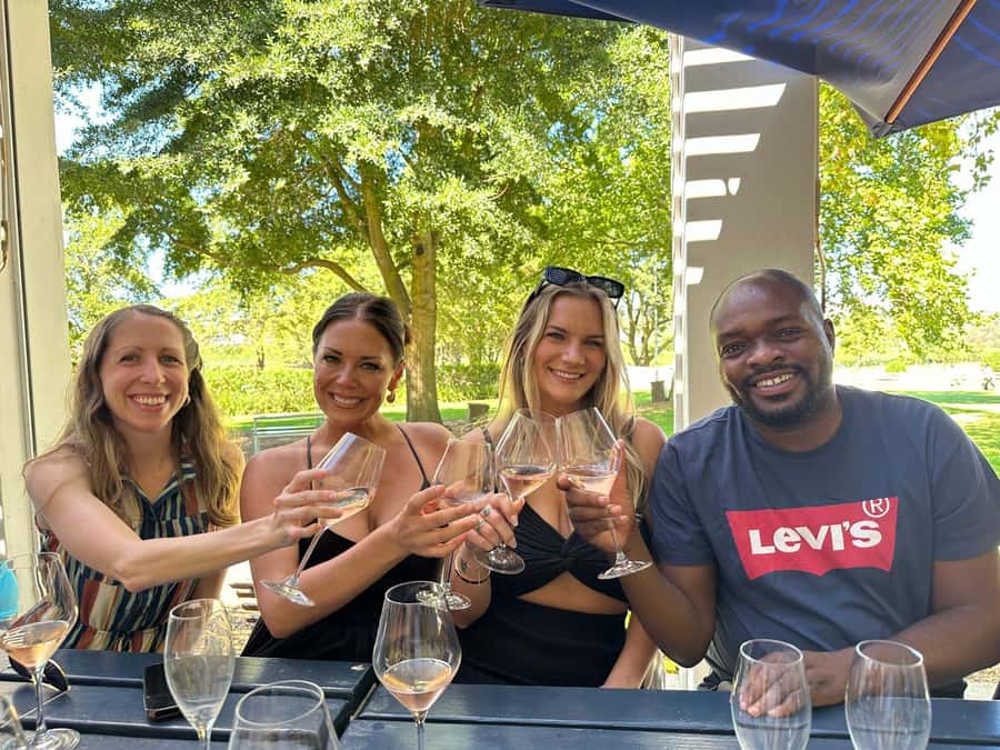 From Cape Town: Stellenbosch Four Estate Full-Day Wine Tour - What to bring and who should book