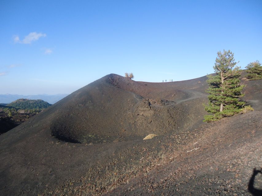 From Catania: Mount Etna Half-Day Tour and Wine Experience - Who should book this Etna and wine experience?