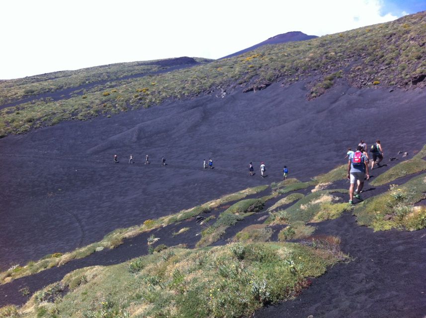 From Catania: Mount Etna Half-Day Tour and Wine Experience - From black rock to Sicilian wine near Zafferana