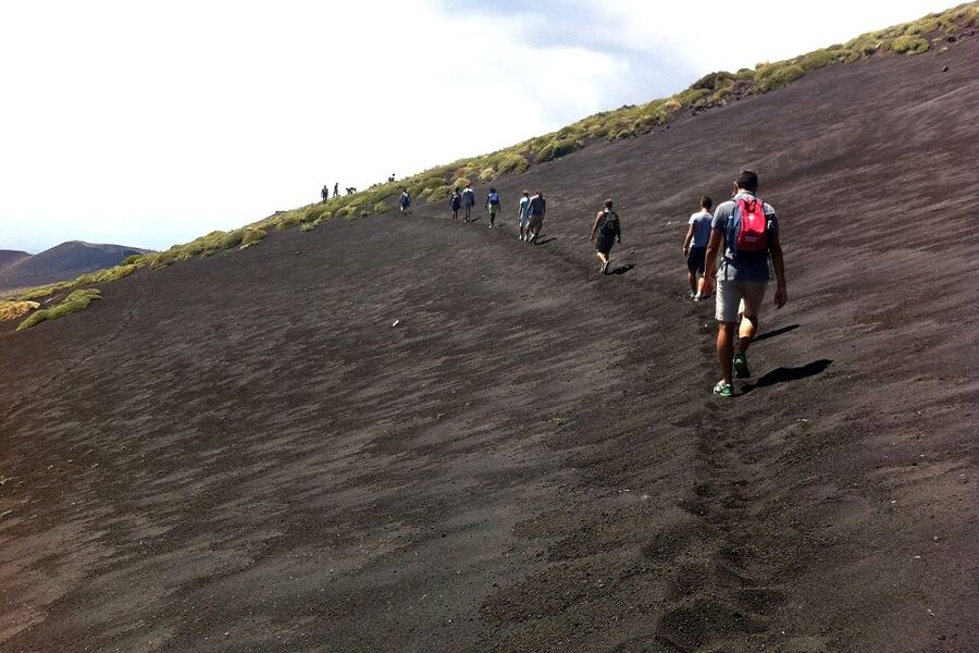 From Catania: Mount Etna Half-Day Tour and Wine Experience - What makes Etna wine worth tasting here