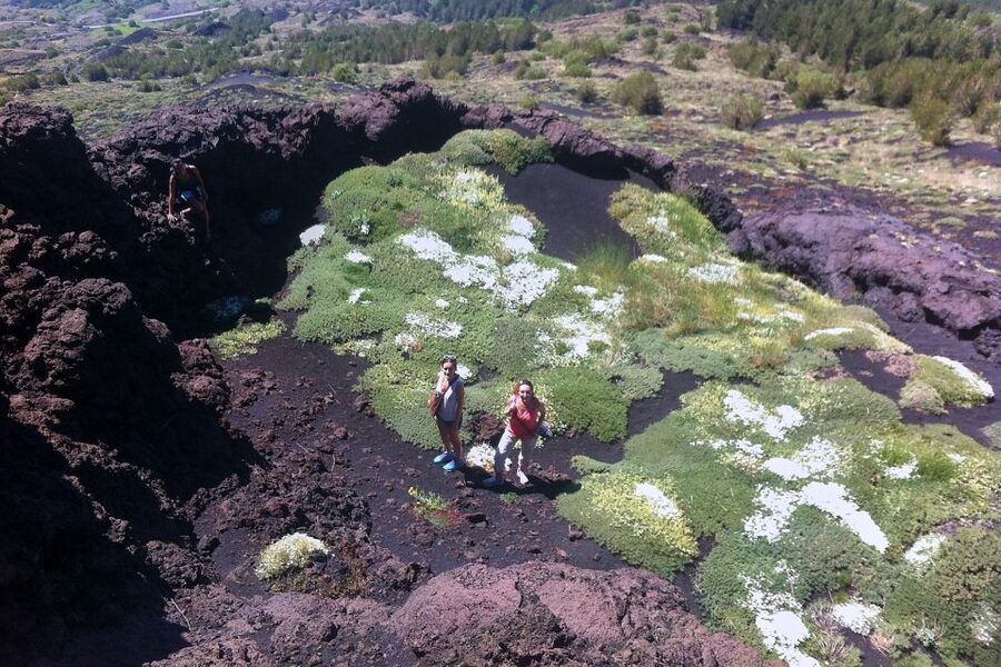 From Catania: Mount Etna Half-Day Tour and Wine Experience - How hard is the hike?